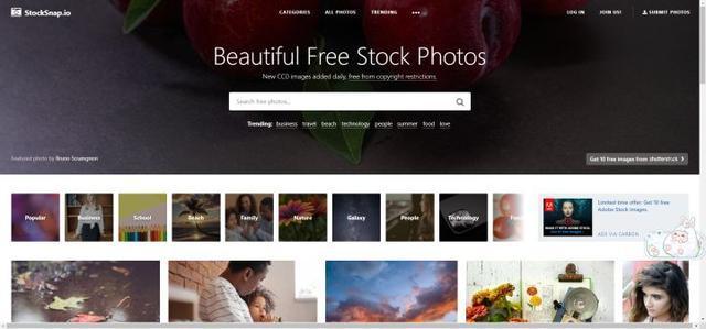 StockSnap