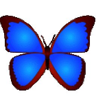 BkViewer(数码照片查看器) BkViewer(数码照片查看器)