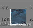 ddddocr,python ddddocr,ddddocr识别验证码