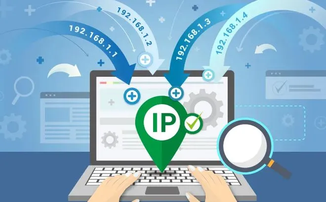 ip地址.webp