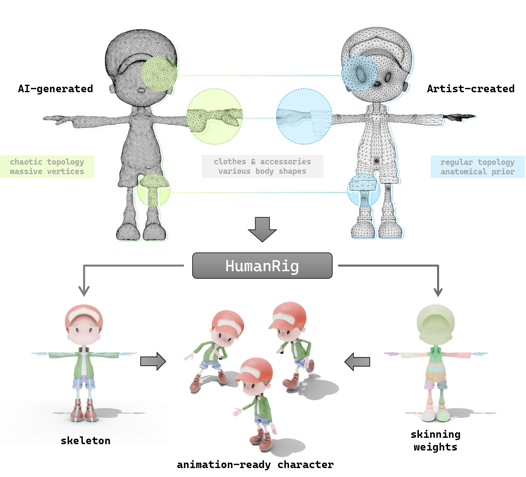 HumanRig.webp