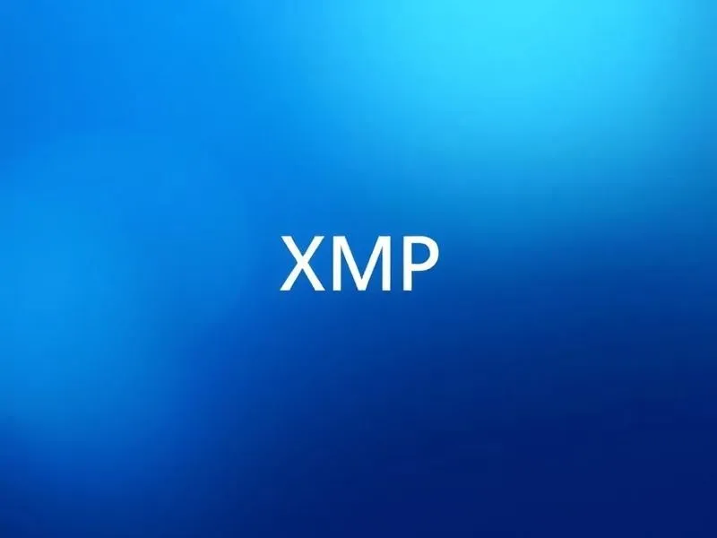 XMP.webp