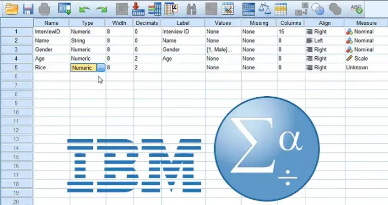 SPSS.webp
