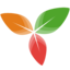 Trilium Notes(免费开源分层笔记软件) Trilium Notes(免费开源分层笔记软件)