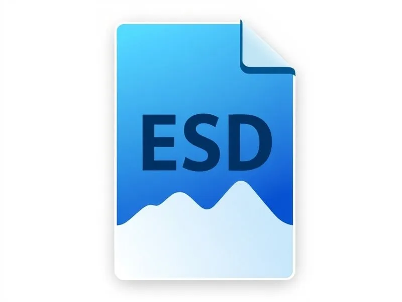 esd.webp