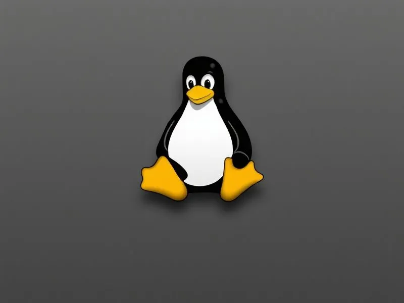 Linux 网络配置文件详解:netmask 设置实战操作指南 Linux 网络配置文件详解:netmask 设置实战操作指南
