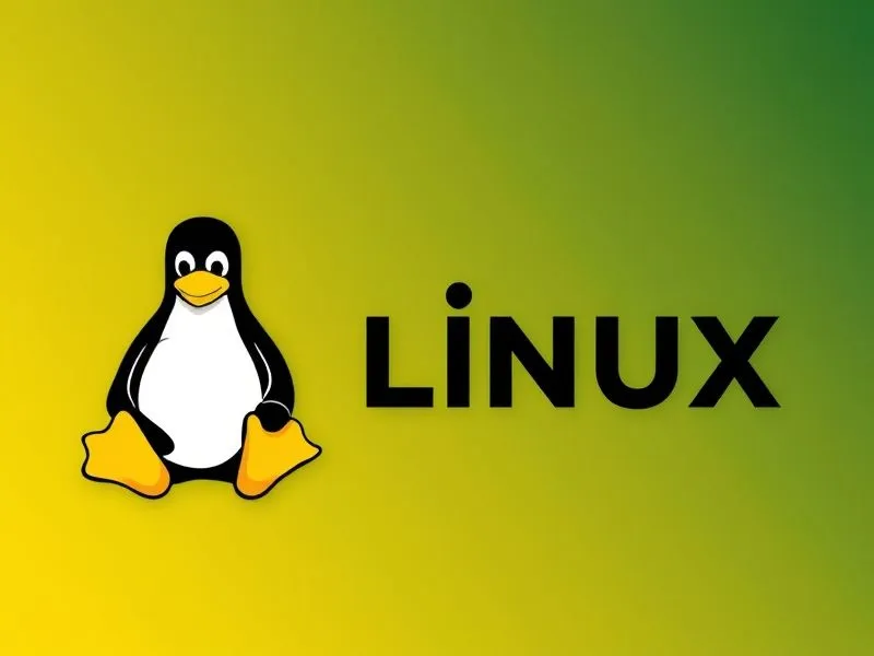 Linux系统下查看和管理物理内存的命令汇总 Linux系统下查看和管理物理内存的命令汇总