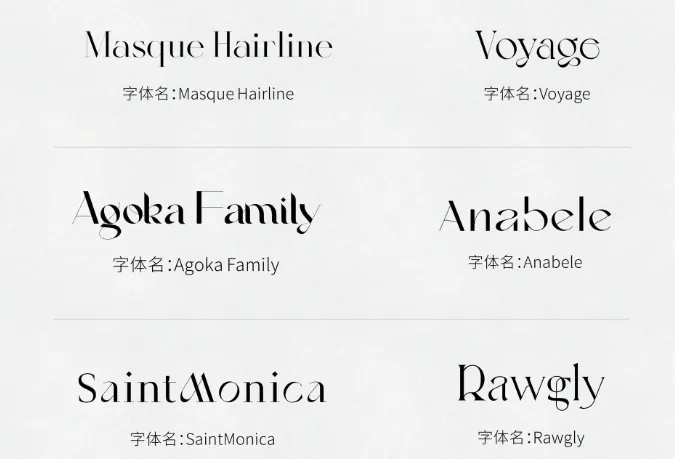 英文字体.webp