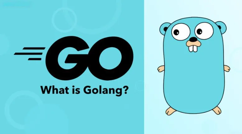 Golang是什么语言?Go语言适合做什么? Golang是什么语言?Go语言适合做什么?