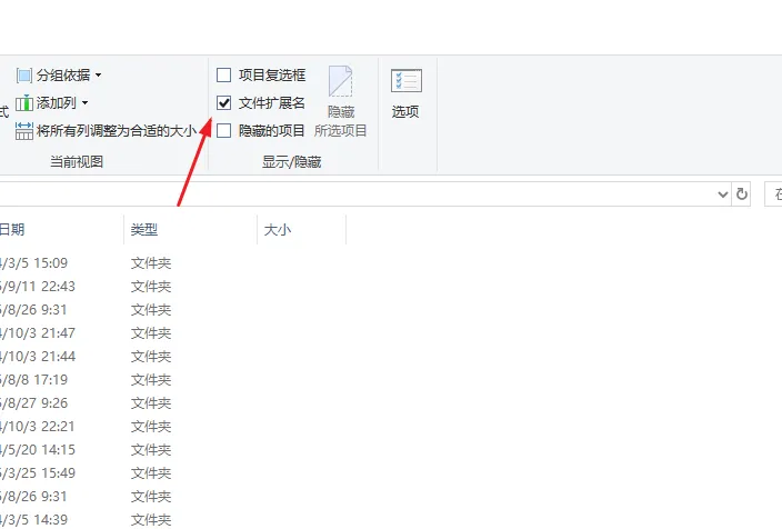 显示文件扩展名.webp